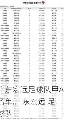 广东宏远足球队甲A名单,广东宏远 足球队