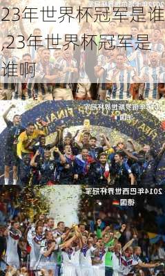 23年世界杯冠军是谁,23年世界杯冠军是谁啊