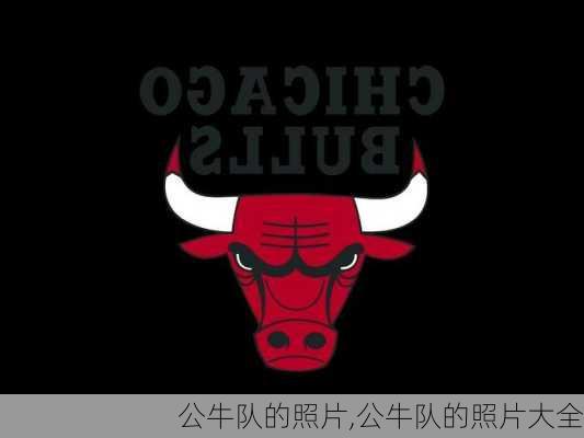 公牛队的照片,公牛队的照片大全