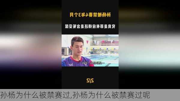 孙杨为什么被禁赛过,孙杨为什么被禁赛过呢