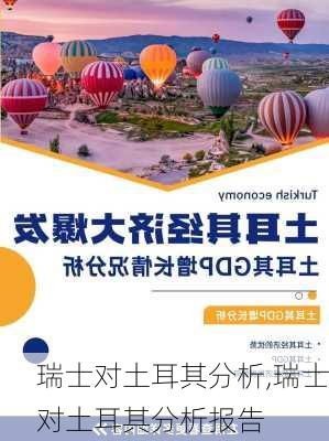 瑞士对土耳其分析,瑞士对土耳其分析报告