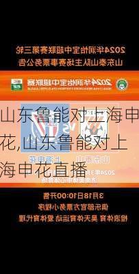山东鲁能对上海申花,山东鲁能对上海申花直播