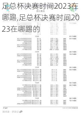 足总杯决赛时间2023在哪踢,足总杯决赛时间2023在哪踢的
