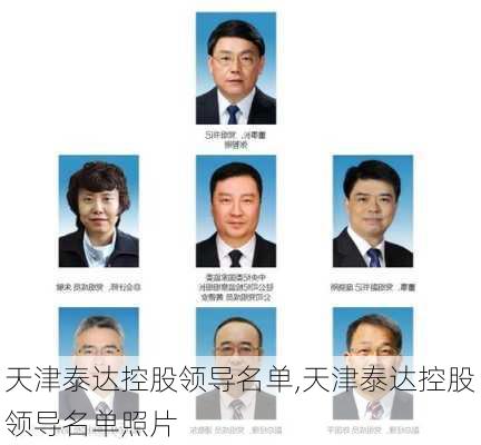 天津泰达控股领导名单,天津泰达控股领导名单照片