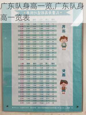 广东队身高一览,广东队身高一览表