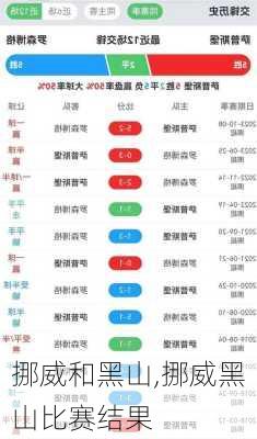 挪威和黑山,挪威黑山比赛结果