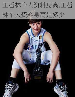 王哲林个人资料身高,王哲林个人资料身高是多少