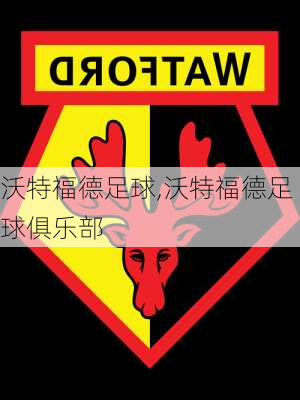 沃特福德足球,沃特福德足球俱乐部