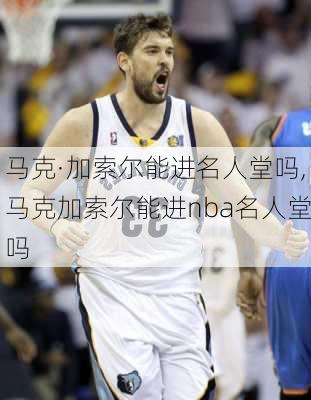 马克·加索尔能进名人堂吗,马克加索尔能进nba名人堂吗