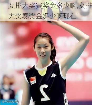 女排大奖赛奖金多少啊,女排大奖赛奖金多少啊现在