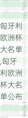 匈牙利欧洲杯大名单,匈牙利欧洲杯大名单公布