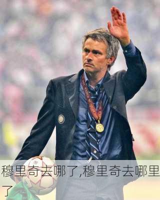 穆里奇去哪了,穆里奇去哪里了