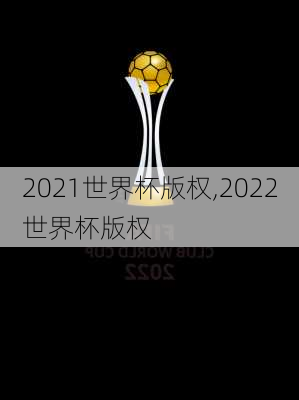 2021世界杯版权,2022世界杯版权