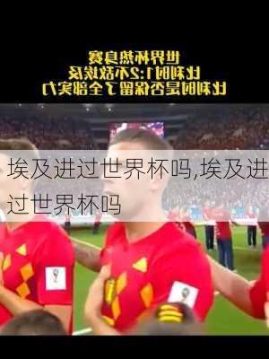 埃及进过世界杯吗,埃及进过世界杯吗