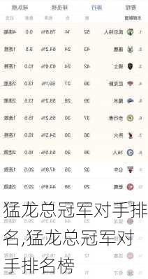 猛龙总冠军对手排名,猛龙总冠军对手排名榜