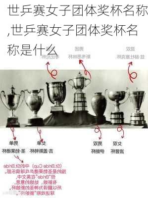 世乒赛女子团体奖杯名称,世乒赛女子团体奖杯名称是什么