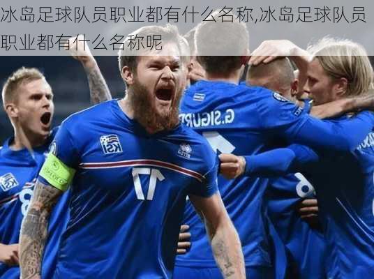 冰岛足球队员职业都有什么名称,冰岛足球队员职业都有什么名称呢
