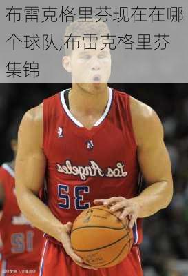 布雷克格里芬现在在哪个球队,布雷克格里芬集锦