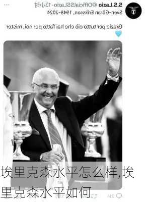埃里克森水平怎么样,埃里克森水平如何