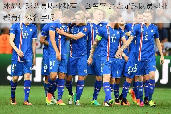 冰岛足球队员职业都有什么名字,冰岛足球队员职业都有什么名字呢