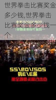世界拳击比赛奖金多少钱,世界拳击比赛奖金多少钱一个