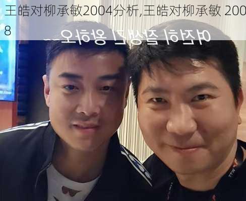 王皓对柳承敏2004分析,王皓对柳承敏 2008