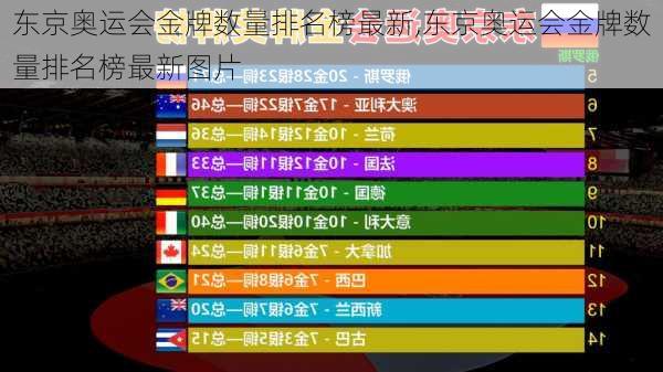 东京奥运会金牌数量排名榜最新,东京奥运会金牌数量排名榜最新图片
