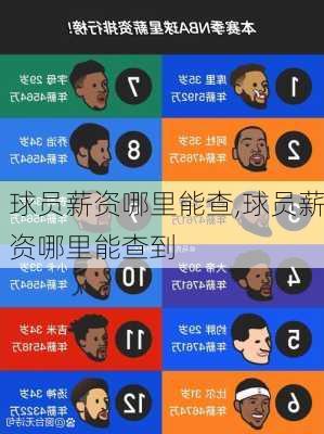 球员薪资哪里能查,球员薪资哪里能查到