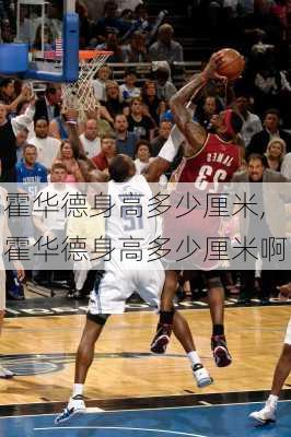 霍华德身高多少厘米,霍华德身高多少厘米啊