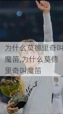 为什么莫德里奇叫魔笛,为什么莫德里奇叫魔笛