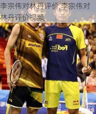 李宗伟对林丹评价,李宗伟对林丹评价视频