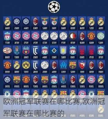 欧洲冠军联赛在哪比赛,欧洲冠军联赛在哪比赛的