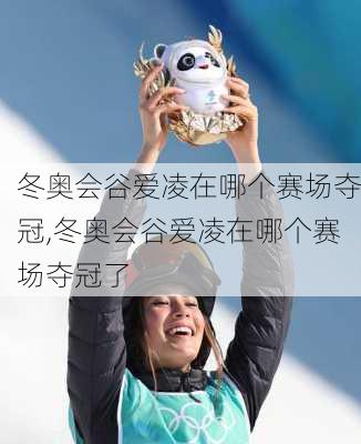冬奥会谷爱凌在哪个赛场夺冠,冬奥会谷爱凌在哪个赛场夺冠了