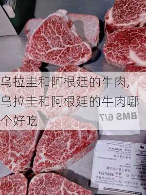 乌拉圭和阿根廷的牛肉,乌拉圭和阿根廷的牛肉哪个好吃