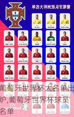 葡萄牙世界杯大名单出炉,葡萄牙世界杯球员名单