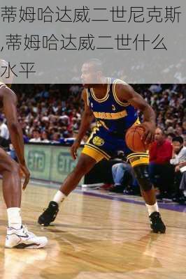蒂姆哈达威二世尼克斯,蒂姆哈达威二世什么水平