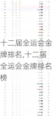 十二届全运会金牌排名,十二届全运会金牌排名榜