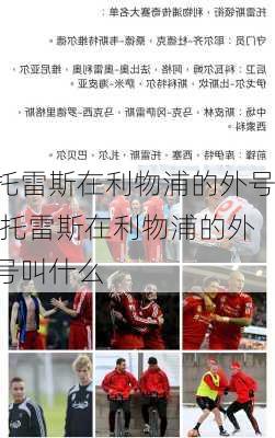 托雷斯在利物浦的外号,托雷斯在利物浦的外号叫什么