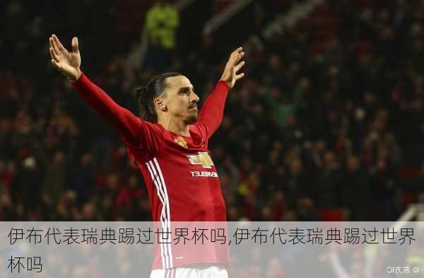 伊布代表瑞典踢过世界杯吗,伊布代表瑞典踢过世界杯吗