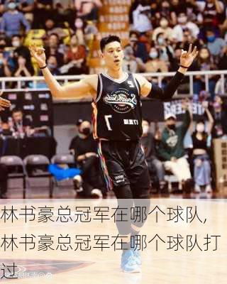 林书豪总冠军在哪个球队,林书豪总冠军在哪个球队打过
