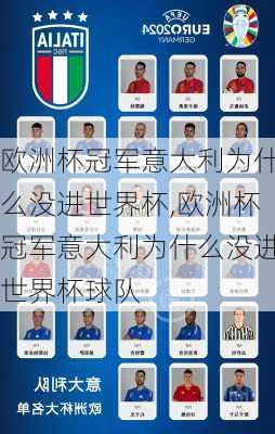 欧洲杯冠军意大利为什么没进世界杯,欧洲杯冠军意大利为什么没进世界杯球队
