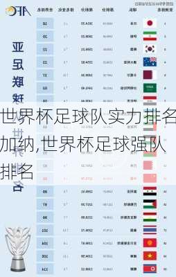 世界杯足球队实力排名加纳,世界杯足球强队排名