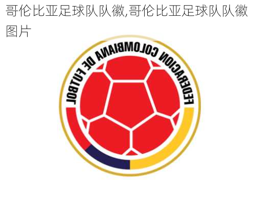哥伦比亚足球队队徽,哥伦比亚足球队队徽图片