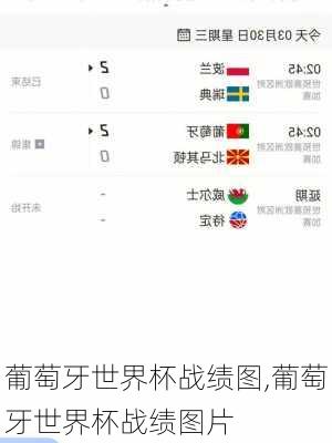 葡萄牙世界杯战绩图,葡萄牙世界杯战绩图片