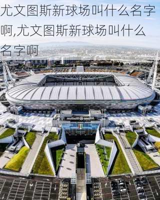 尤文图斯新球场叫什么名字啊,尤文图斯新球场叫什么名字啊