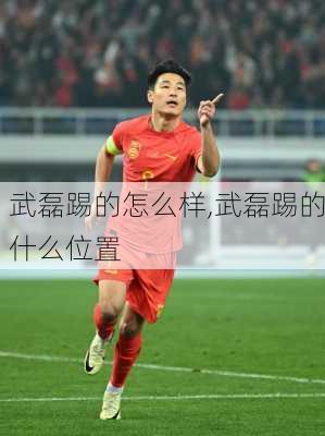 武磊踢的怎么样,武磊踢的什么位置