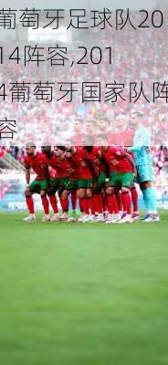 葡萄牙足球队2014阵容,2014葡萄牙国家队阵容