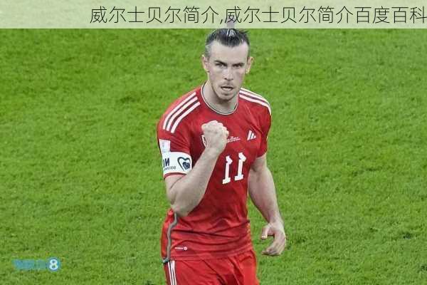 威尔士贝尔简介,威尔士贝尔简介百度百科