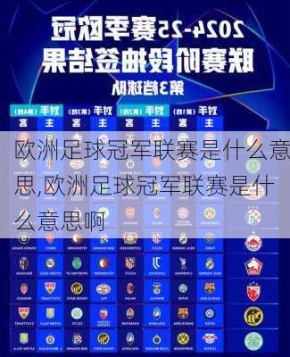 欧洲足球冠军联赛是什么意思,欧洲足球冠军联赛是什么意思啊
