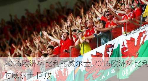 2016欧洲杯比利时威尔士,2016欧洲杯比利时威尔士 回放